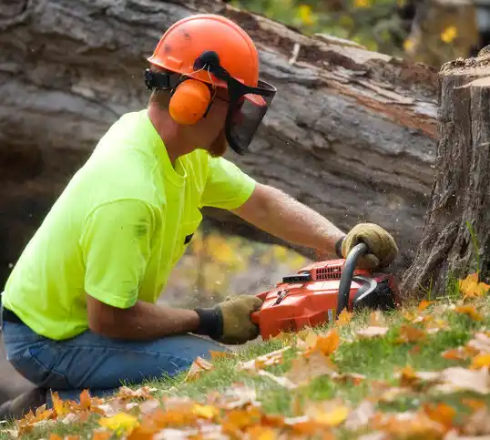 tree services Central